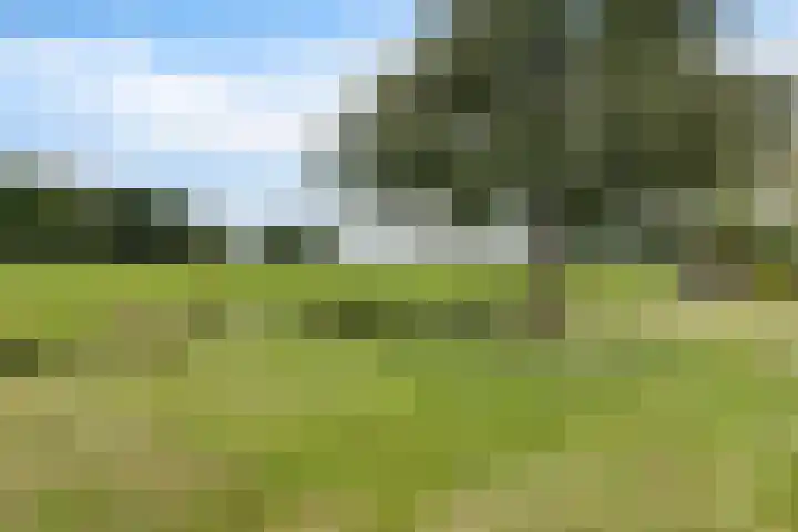 Arlo 11 Tynaarlo thumbnail 55