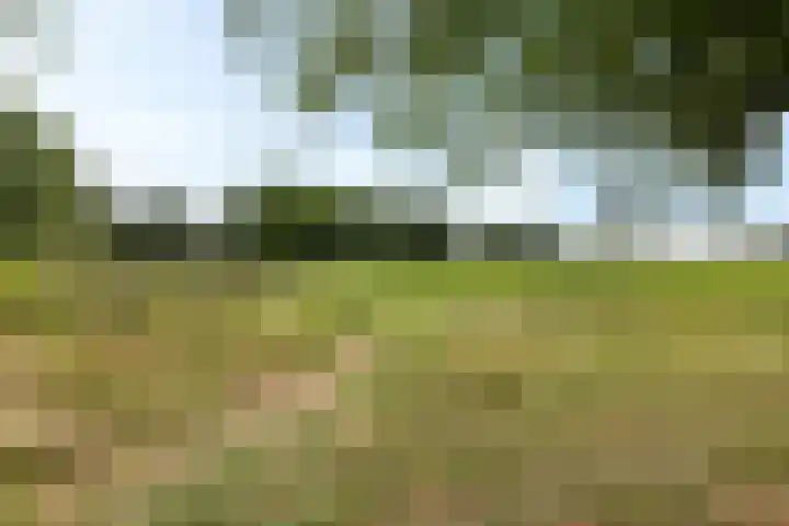 Arlo 11 Tynaarlo thumbnail 56