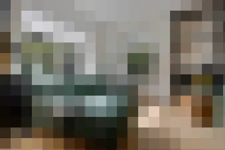 Arlo 11 Tynaarlo thumbnail 9