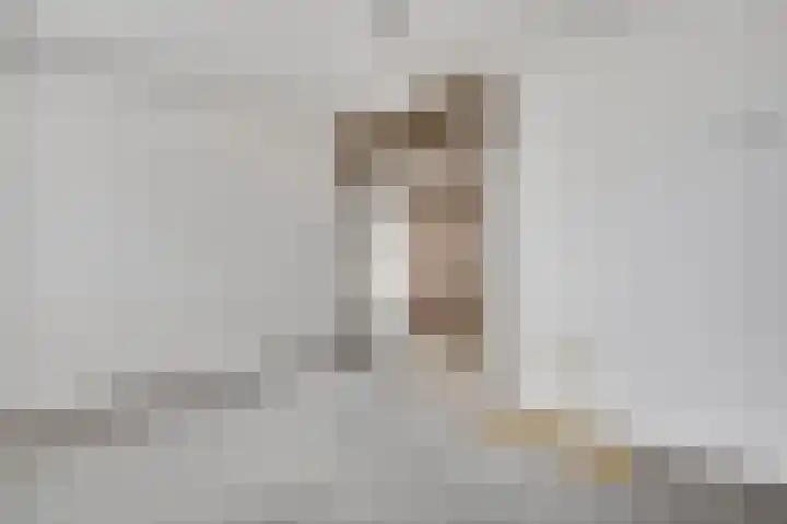 Arlo 112 Roermond thumbnail 12