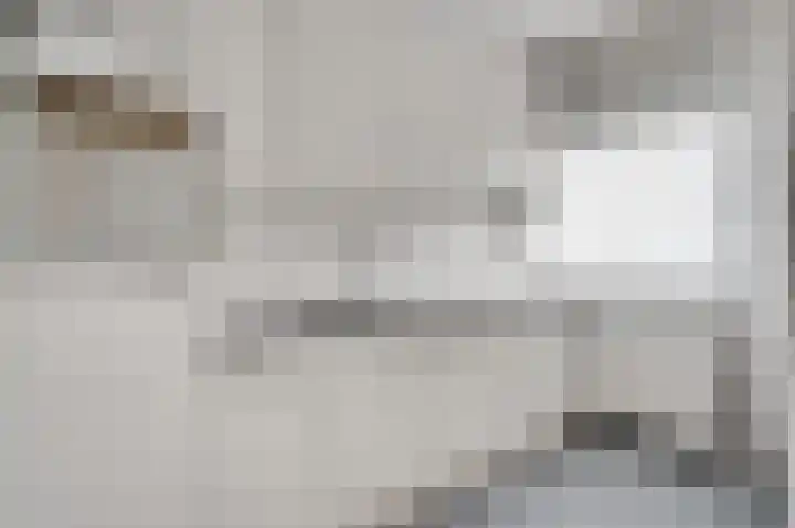 Arlo 112 Roermond thumbnail 13