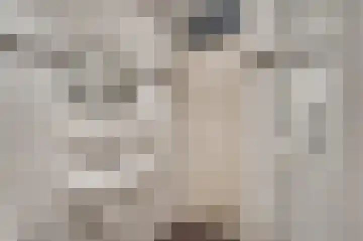 Arlo 112 Roermond thumbnail 18