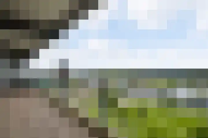 Arlo 112 Roermond thumbnail 19