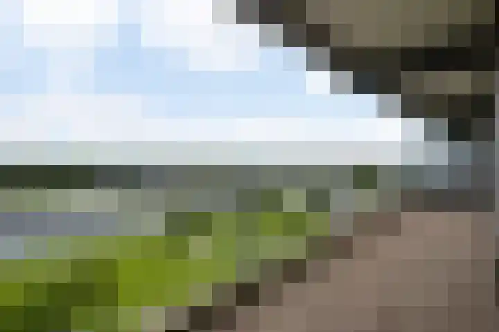 Arlo 112 Roermond thumbnail 20