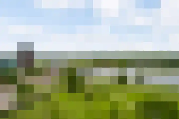 Arlo 112 Roermond thumbnail 21
