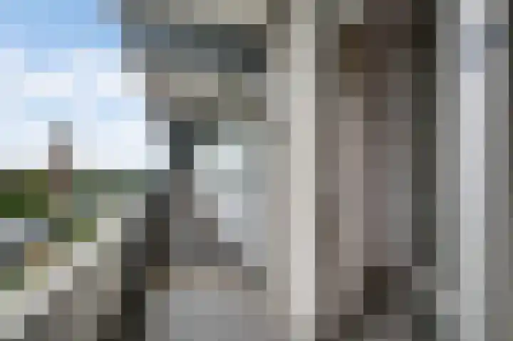 Arlo 112 Roermond thumbnail 4