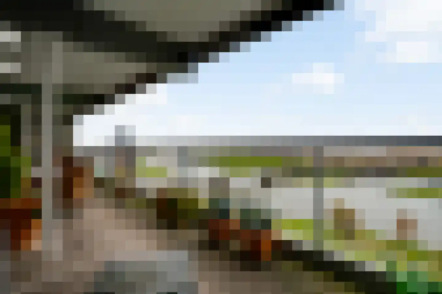 Arlo 141 Roermond