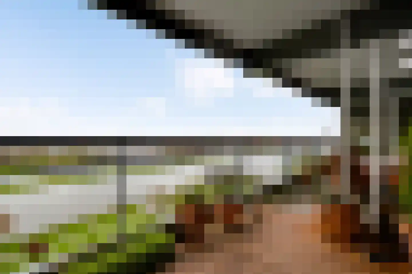 Arlo 141 Roermond thumbnail 15