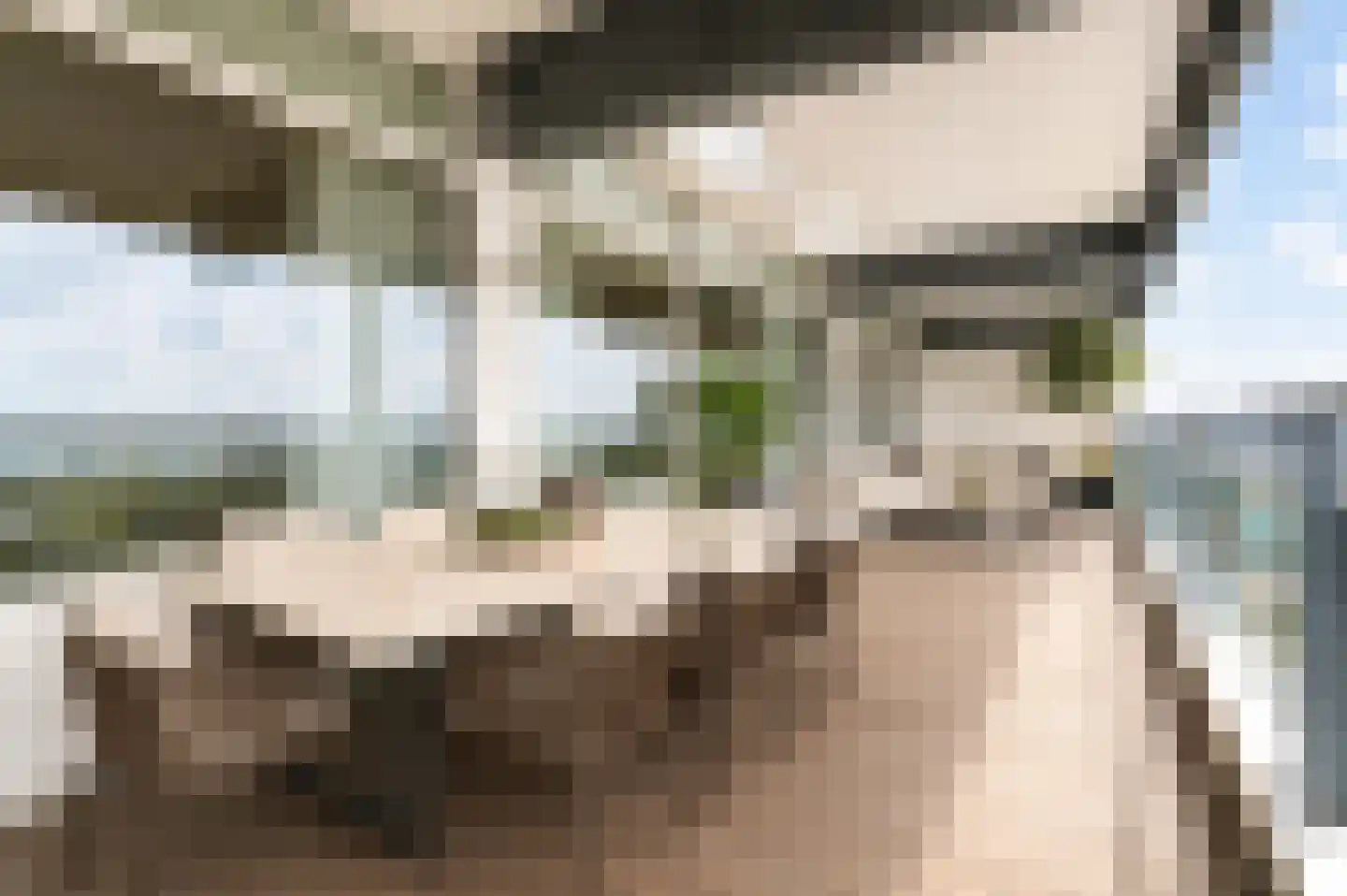 Arlo 141 Roermond thumbnail 15