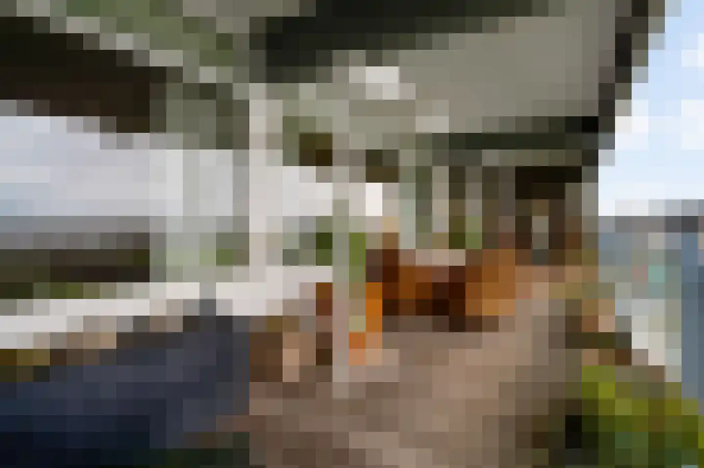 Arlo 141 Roermond thumbnail 18