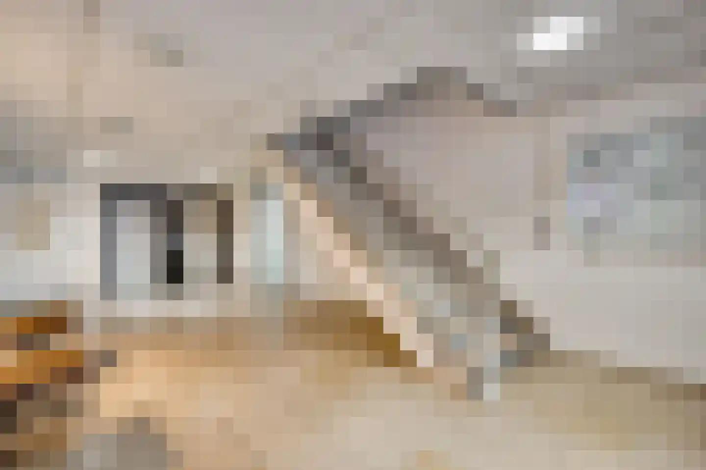 Arlo 141 Roermond thumbnail 24