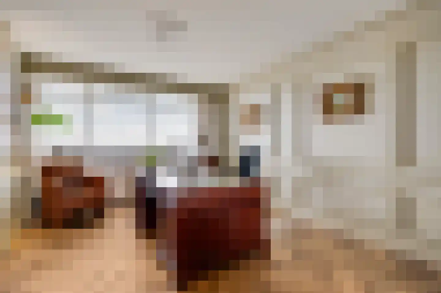 Arlo 141 Roermond thumbnail 4