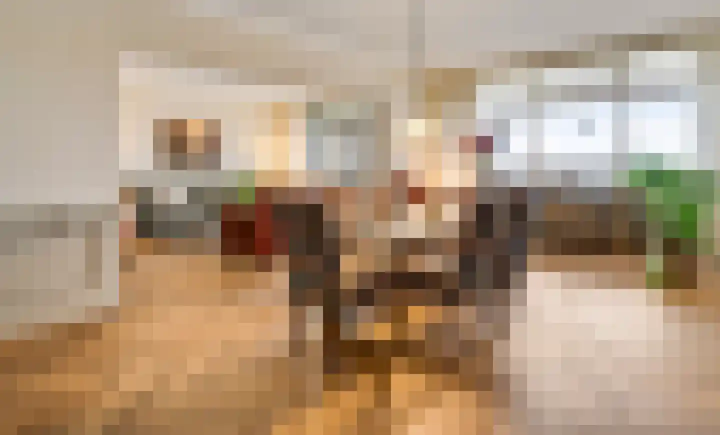 Arlo 141 Roermond thumbnail 5