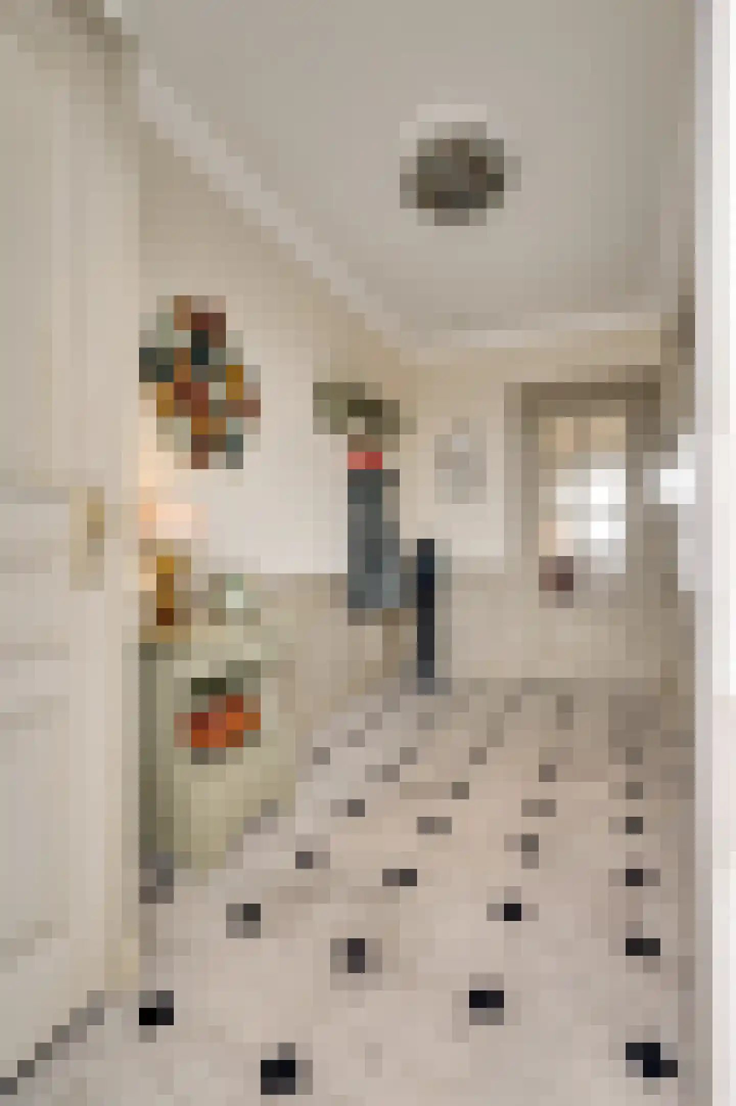 Arlo 141 Roermond thumbnail 8