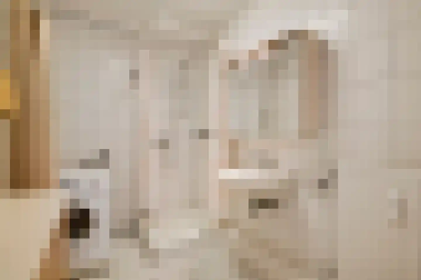 Arlo 3 Roermond thumbnail 18