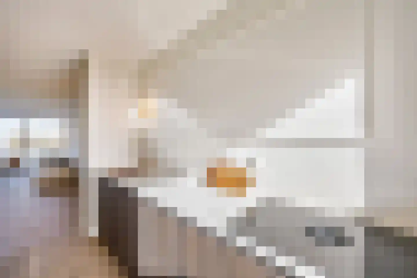Arlo 34 Roermond thumbnail 20