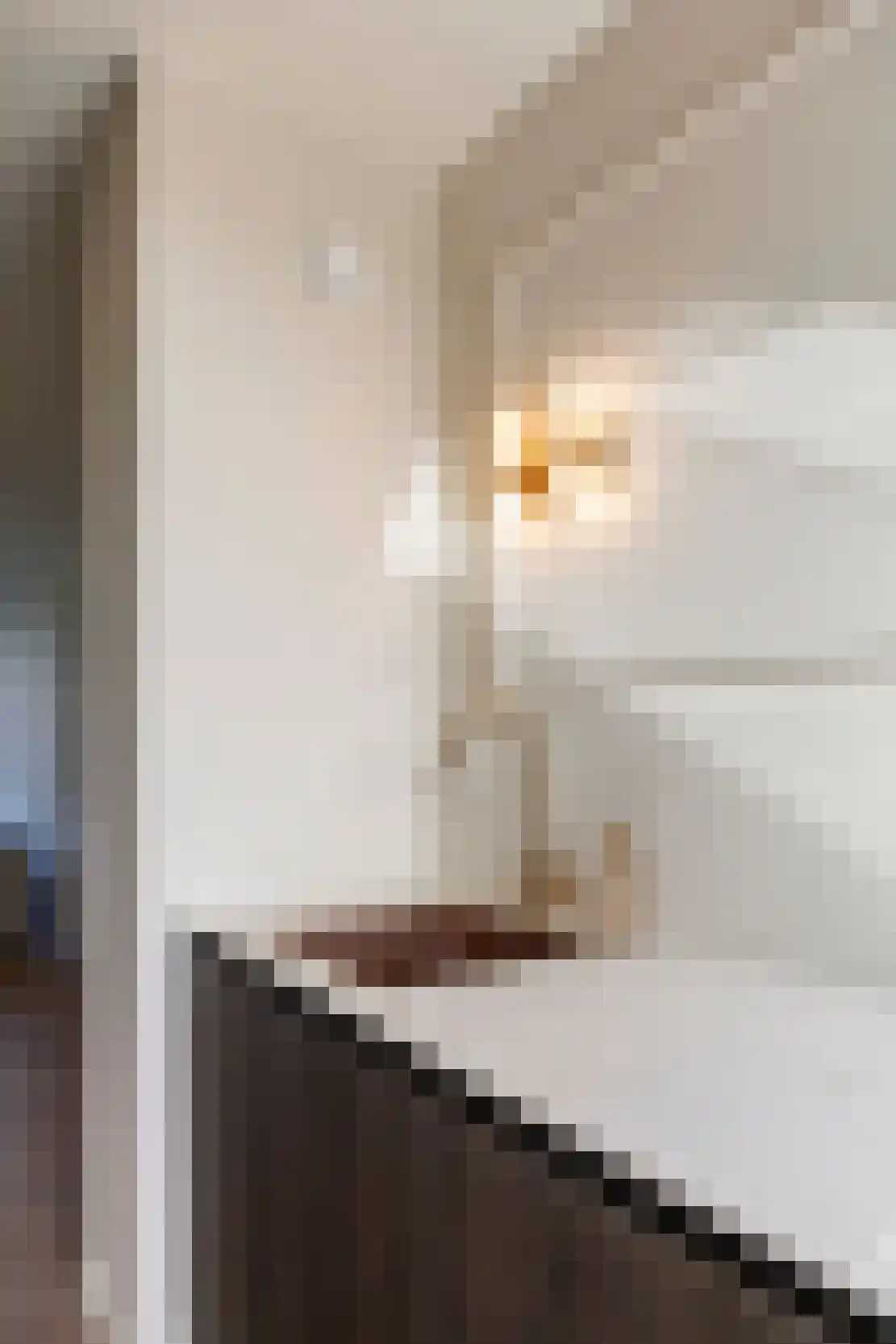 Arlo 34 Roermond thumbnail 21