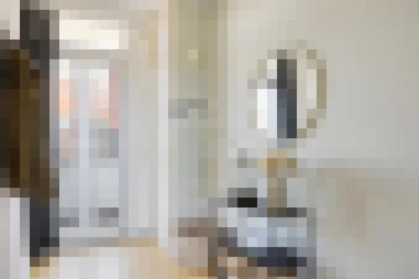 Arlo 42 Roermond thumbnail 12