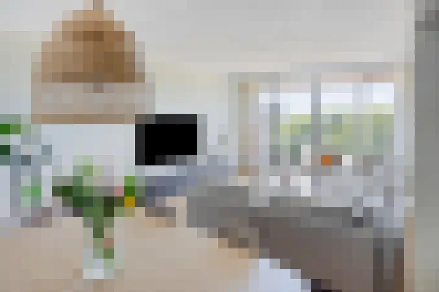 Arlo 42 Roermond thumbnail 19