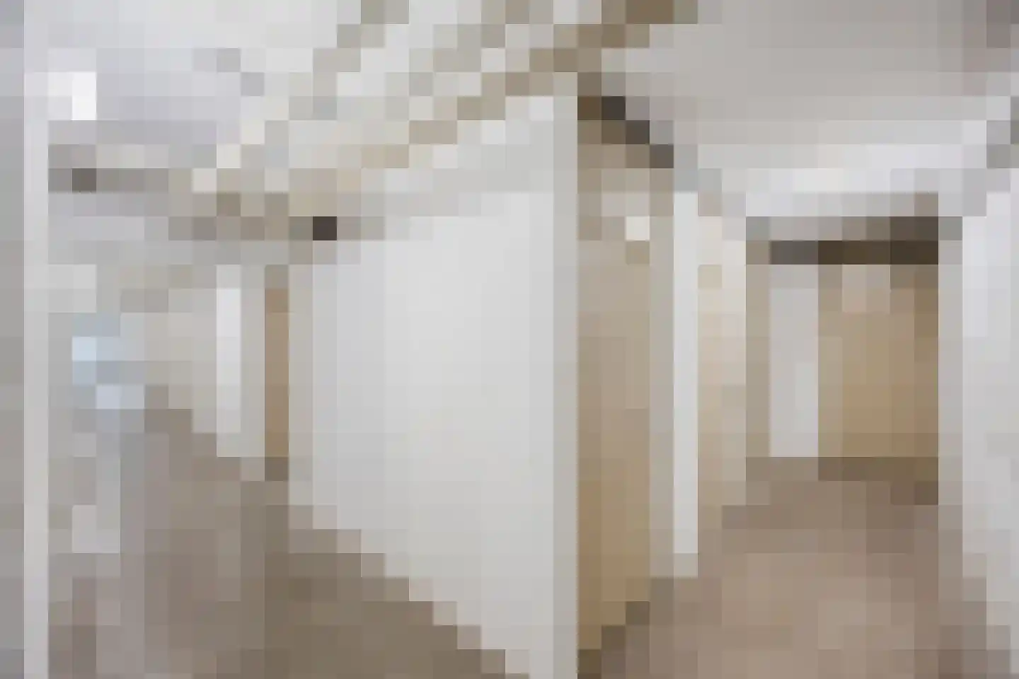 Arlo 42 Roermond thumbnail 45