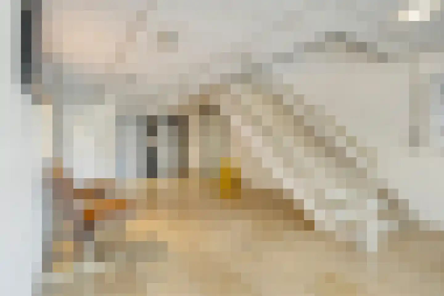 Arlo 42 Roermond thumbnail 8