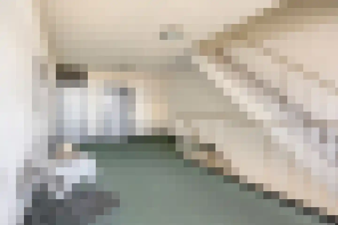 Arlo 42 Roermond thumbnail 9