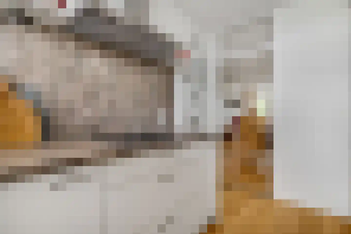 Arlo 8 Roermond thumbnail 18