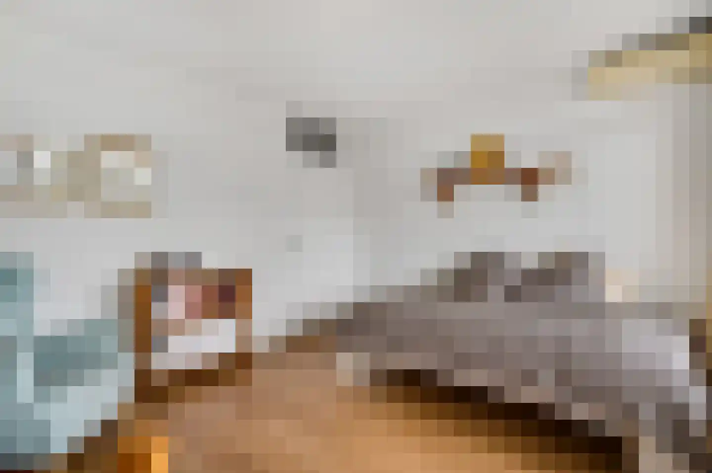 Arlo 8 Roermond thumbnail 21