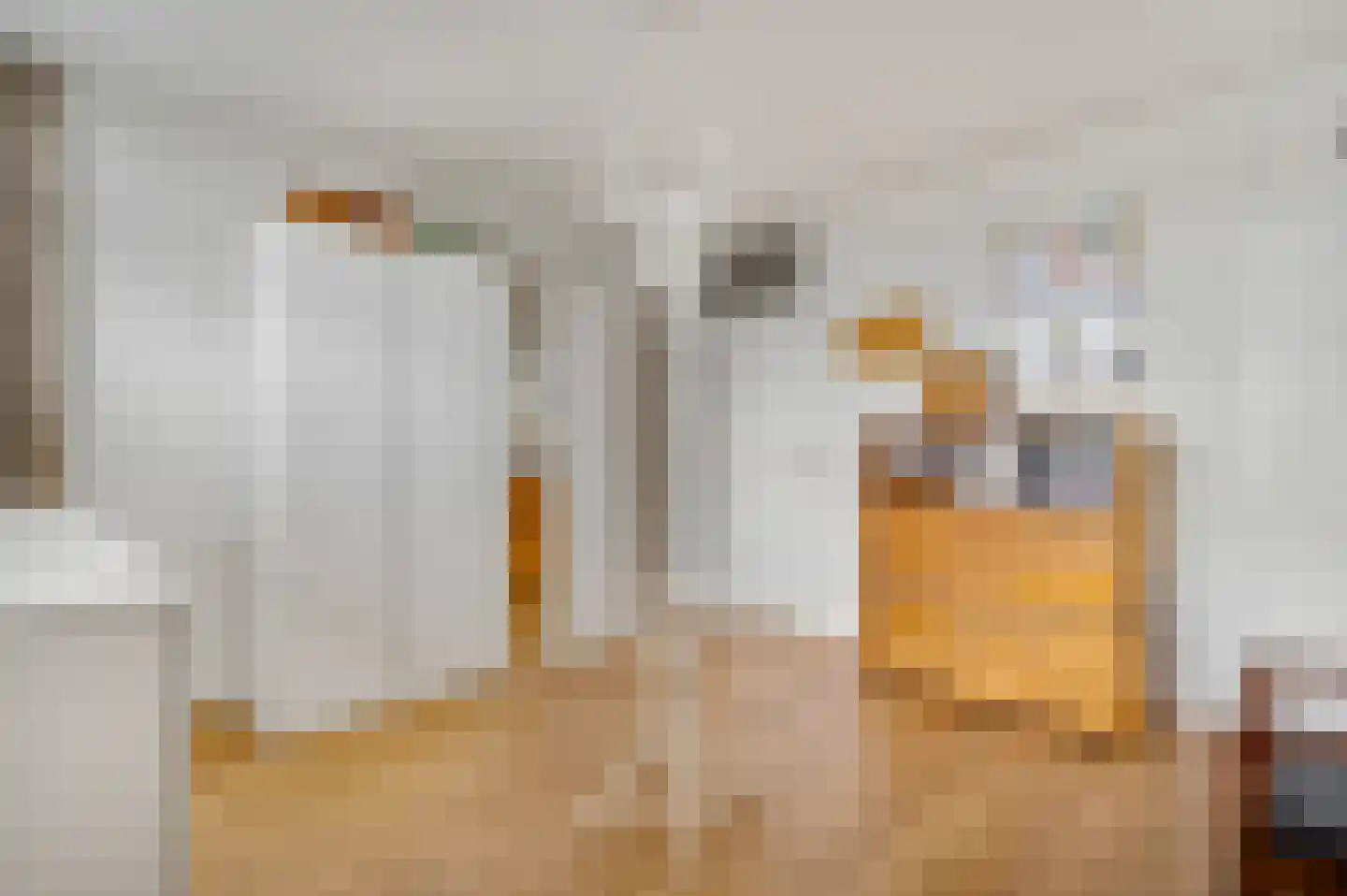 Arlo 8 Roermond thumbnail 23