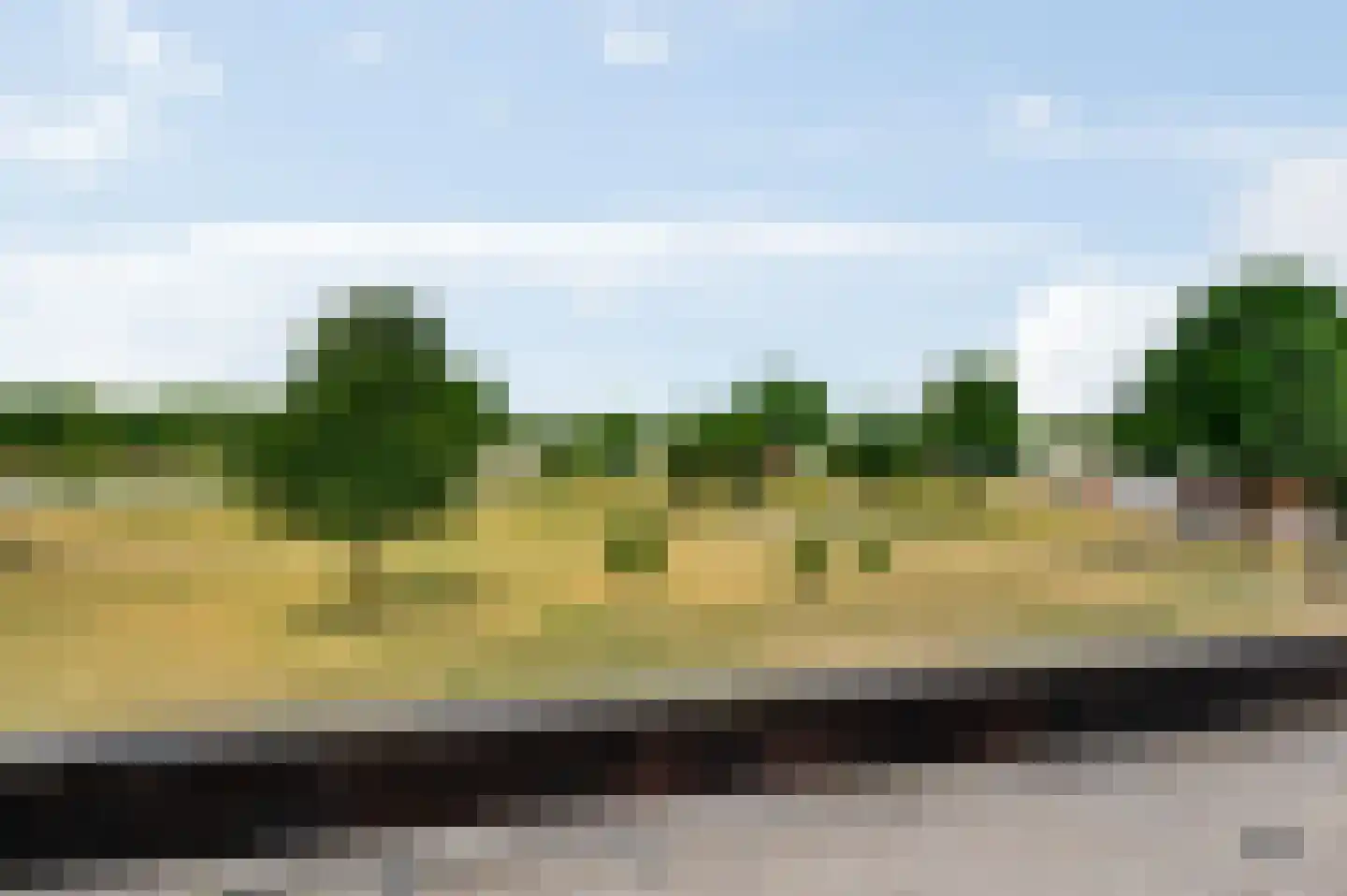 Arlo 8 Roermond thumbnail 30