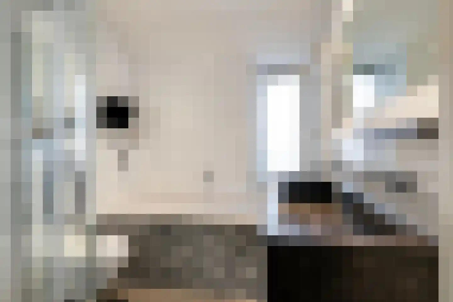 Armagnaclaan 20 Eindhoven thumbnail 23