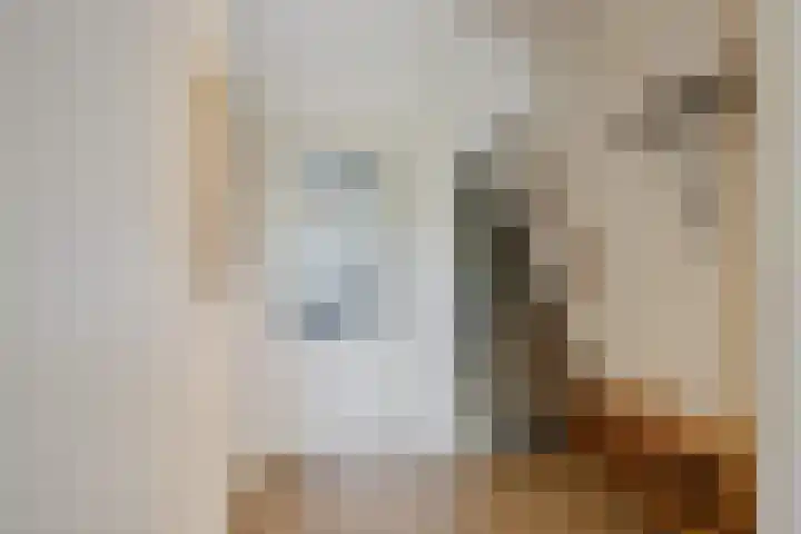 Armagnaclaan 29 Eindhoven thumbnail 11