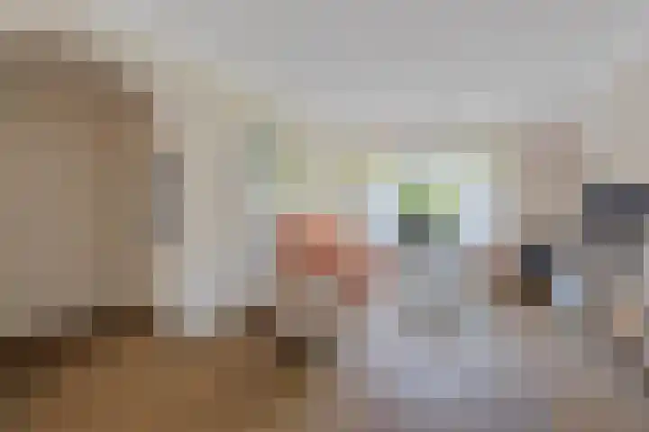 Armagnaclaan 29 Eindhoven thumbnail 12