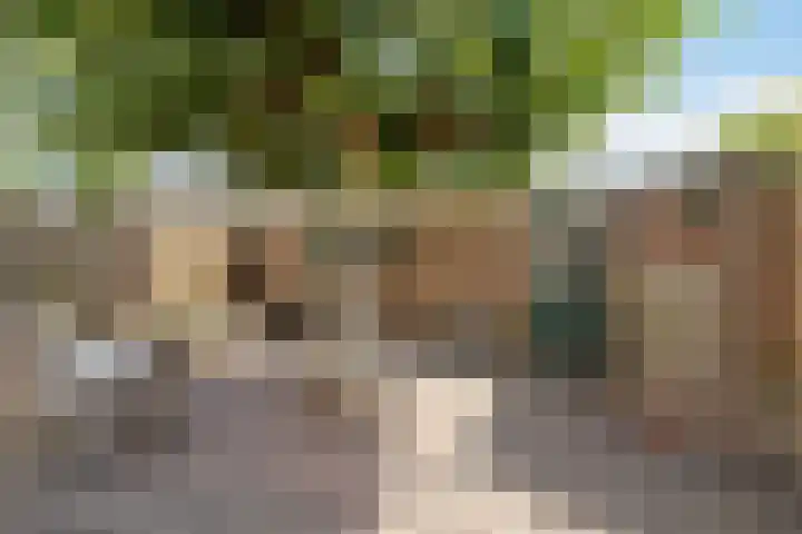 Armagnaclaan 29 Eindhoven thumbnail 38
