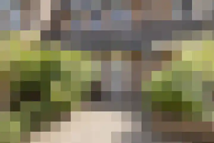 Armagnaclaan 29 Eindhoven thumbnail 9