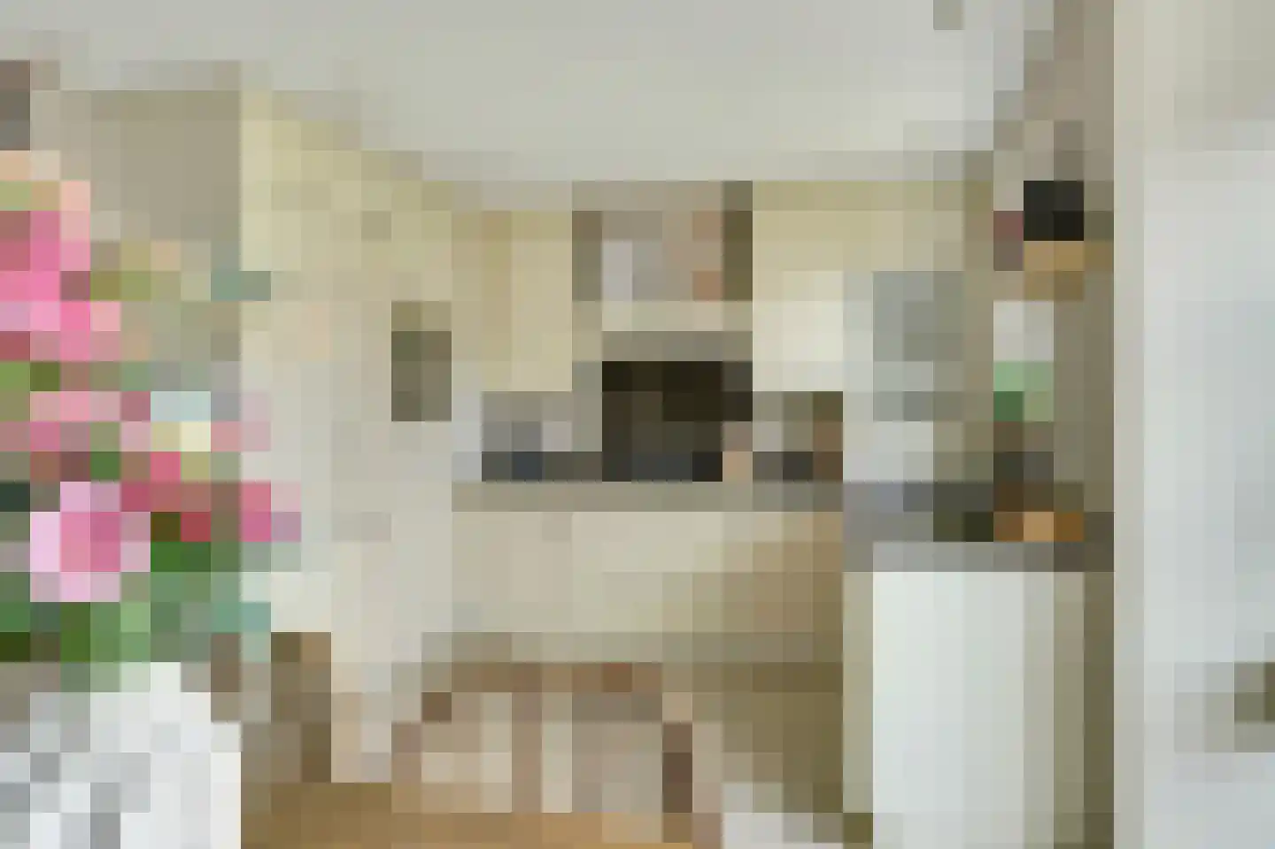 Armagnaclaan 34 Eindhoven thumbnail 37