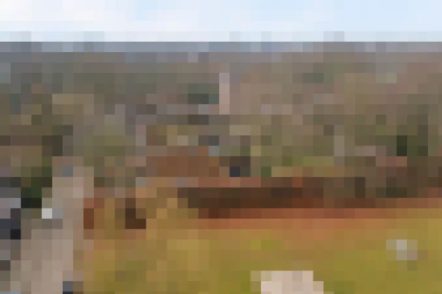 Armagnaclaan 34 Eindhoven thumbnail 69