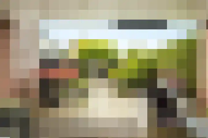 Armagnaclaan 56 Eindhoven thumbnail 14