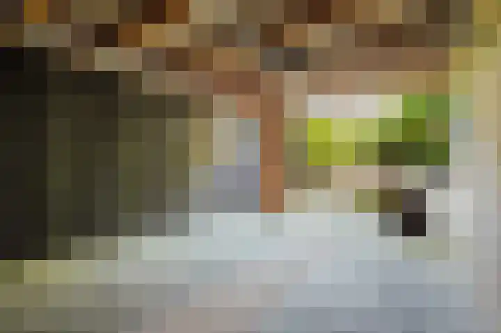 Armagnaclaan 56 Eindhoven thumbnail 20