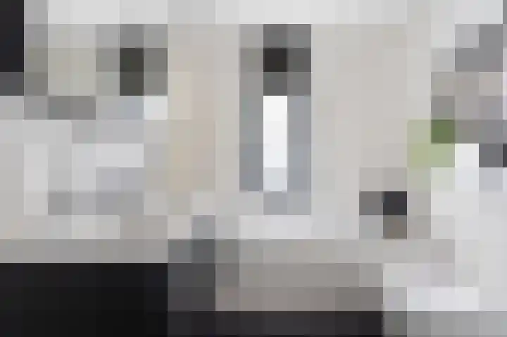 Armagnaclaan 56 Eindhoven thumbnail 31