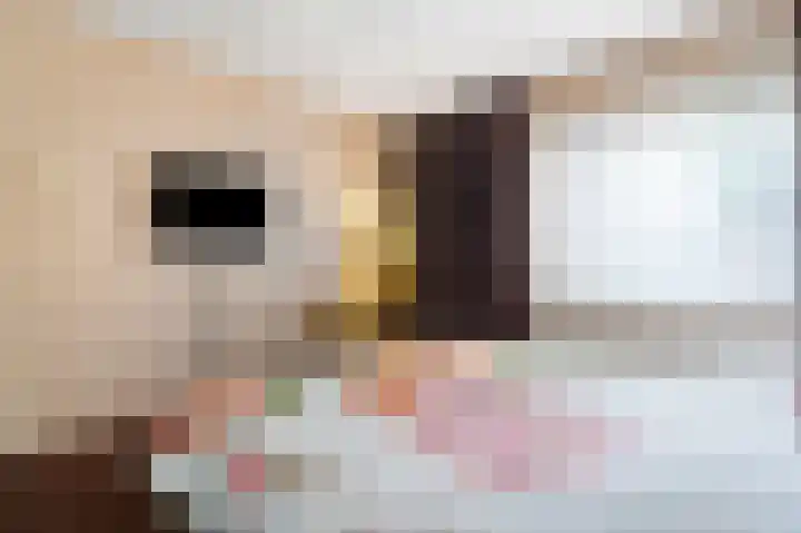 Armagnaclaan 56 Eindhoven thumbnail 34