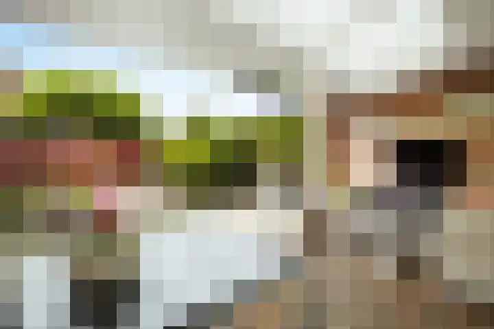 Armagnaclaan 56 Eindhoven thumbnail 41