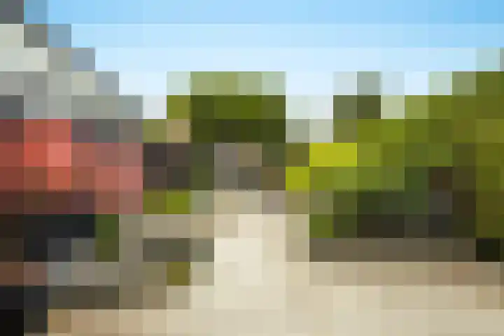 Armagnaclaan 56 Eindhoven thumbnail 42
