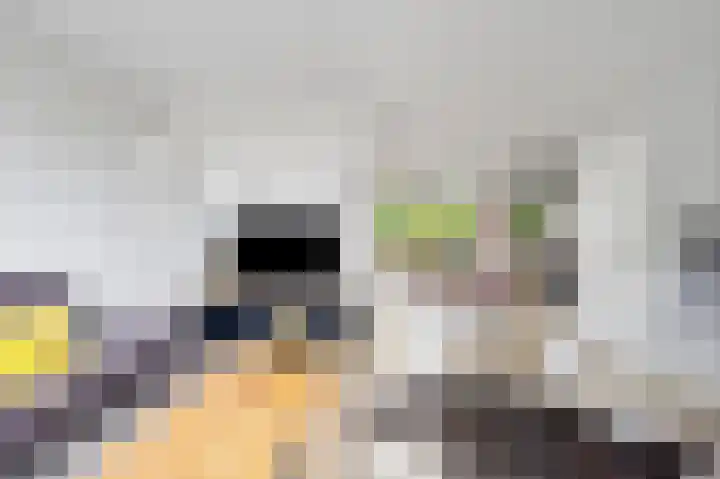 Armagnaclaan 56 Eindhoven thumbnail 6