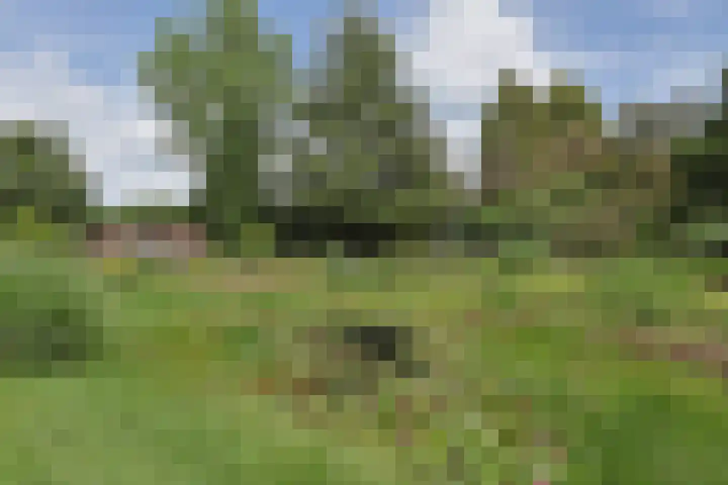 Armehoefstraat 18 Boxtel thumbnail 39