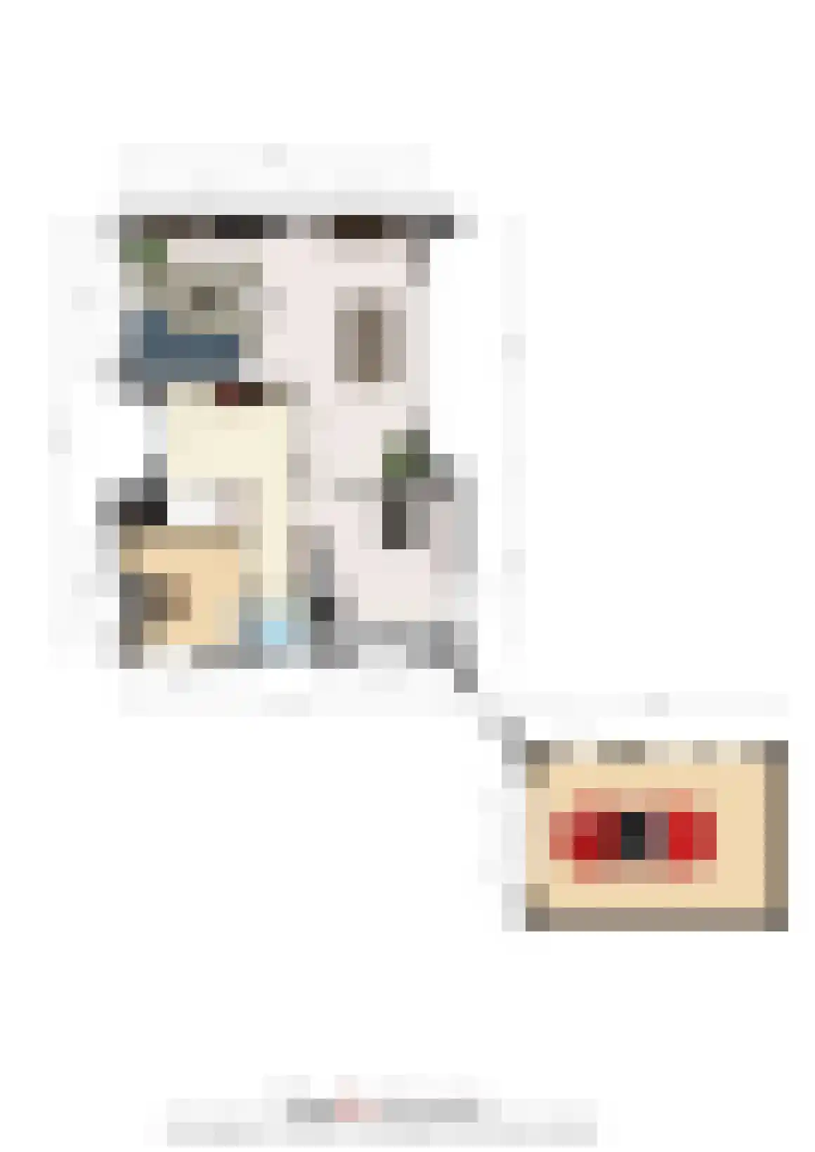 Armehoefstraat 18 Boxtel thumbnail 52