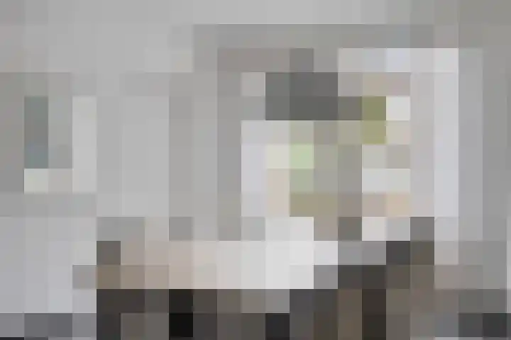 Armehoefstraat 2 Veldhoven thumbnail 12