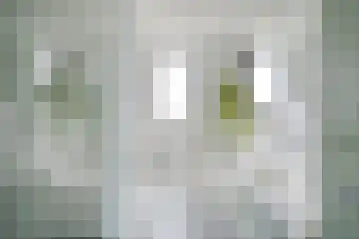 Armehoefstraat 2 Veldhoven thumbnail 22