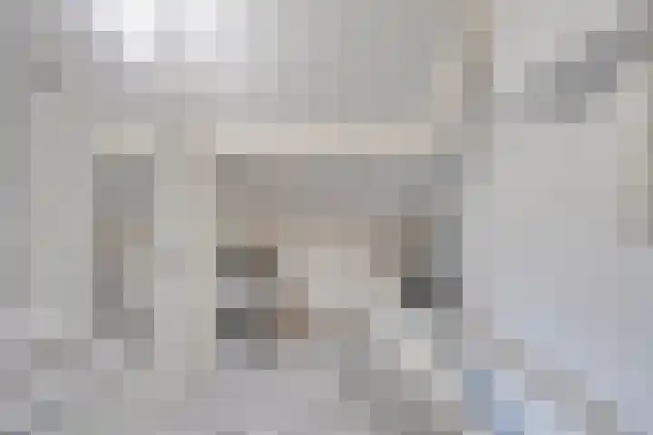 Armehoefstraat 2 Veldhoven thumbnail 29