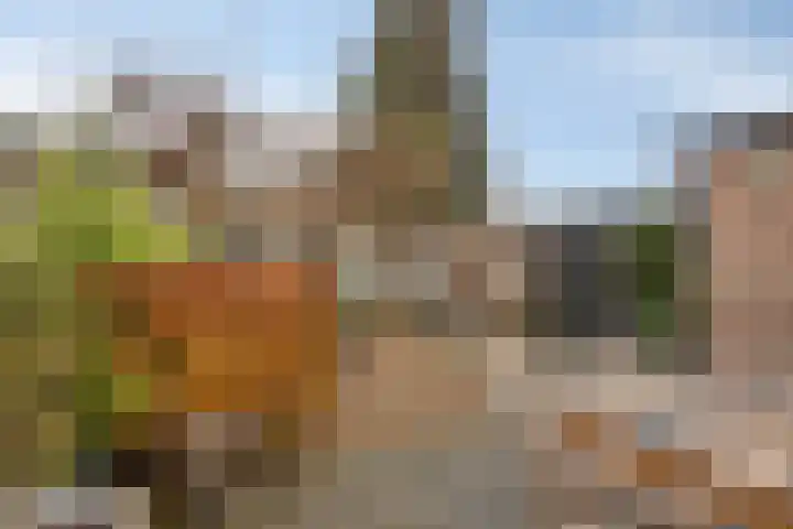 Armehoefstraat 2 Veldhoven thumbnail 33